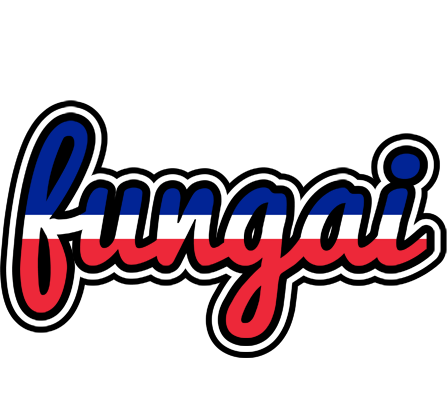 fungai france logo