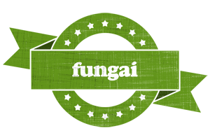 fungai natural logo