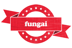 fungai passion logo