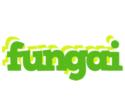 fungai picnic logo