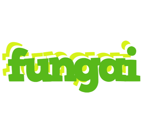 fungai picnic logo