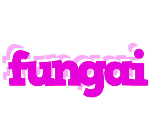 fungai rumba logo