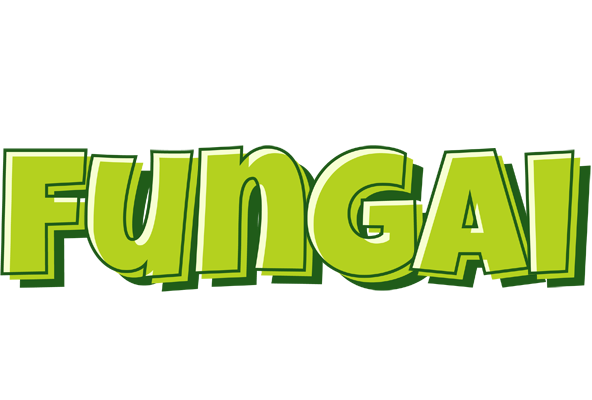fungai summer logo
