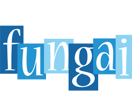 fungai winter logo