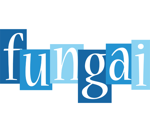 fungai winter logo