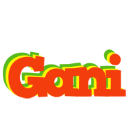 gani bbq logo