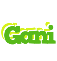 gani picnic logo