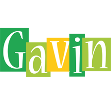 gavin lemonade logo