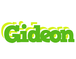 gideon picnic logo