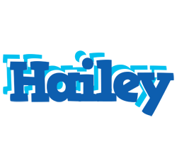 hailey business logo