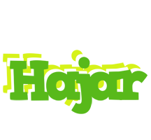 hajar picnic logo