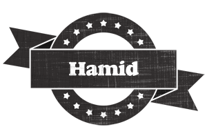 hamid grunge logo