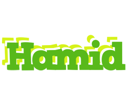 hamid picnic logo