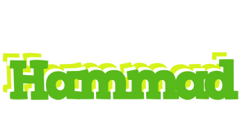 hammad picnic logo