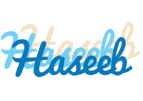 haseeb breeze logo