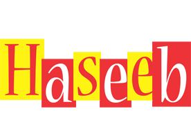 haseeb errors logo