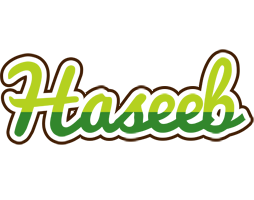 haseeb golfing logo