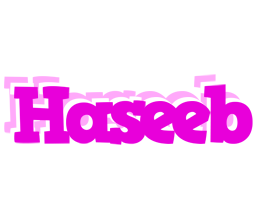 haseeb rumba logo