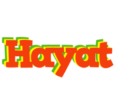 hayat bbq logo