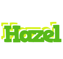hazel picnic logo