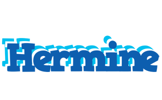 hermine business logo