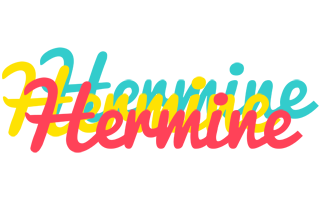 hermine disco logo