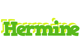 hermine picnic logo