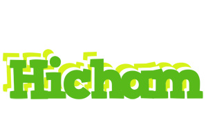 hicham picnic logo