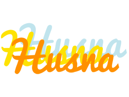 husna energy logo