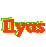 ilyas bbq logo