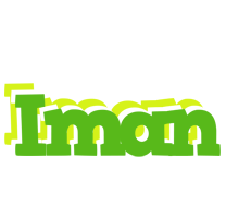 iman picnic logo