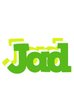 jad picnic logo