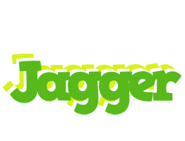 jagger picnic logo