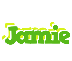 jamie picnic logo