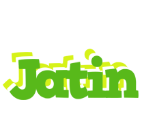 jatin picnic logo