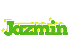 jazmin picnic logo