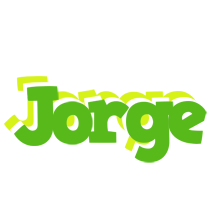 jorge picnic logo