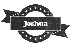 joshua grunge logo
