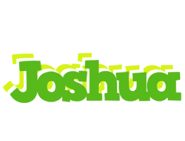 joshua picnic logo