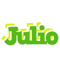 julio picnic logo