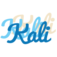 kali breeze logo