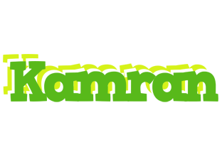 kamran picnic logo