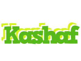 kashaf picnic logo