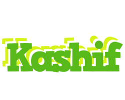 kashif picnic logo