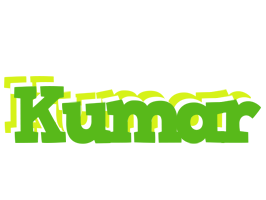 kumar picnic logo