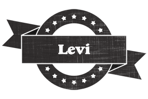 levi grunge logo