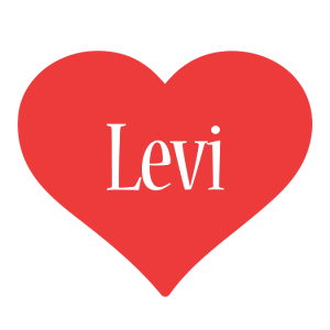 levi love logo