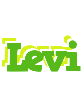 levi picnic logo