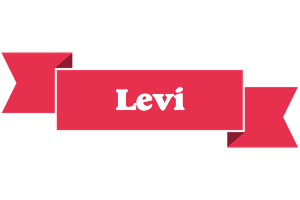 levi sale logo