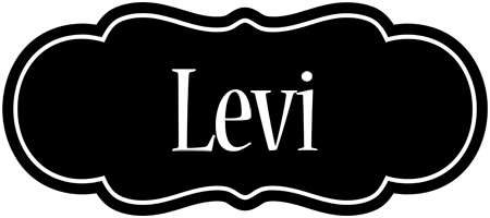 levi welcome logo